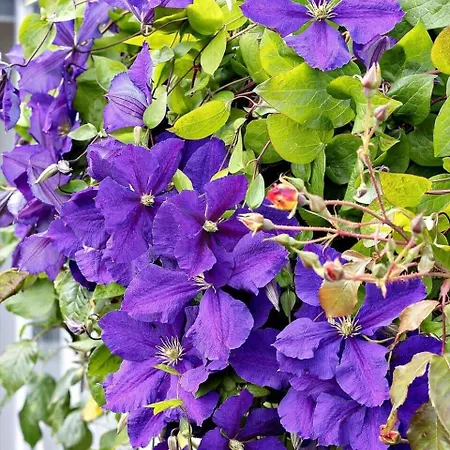 Daire 0268-romo-lyngvejen-99-ap-31