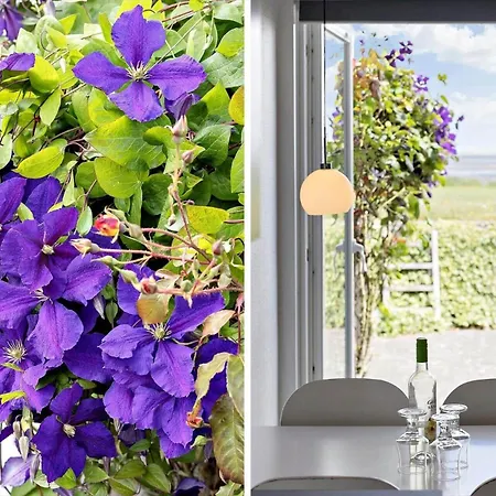 0268-romo-lyngvejen-99-ap-31 *